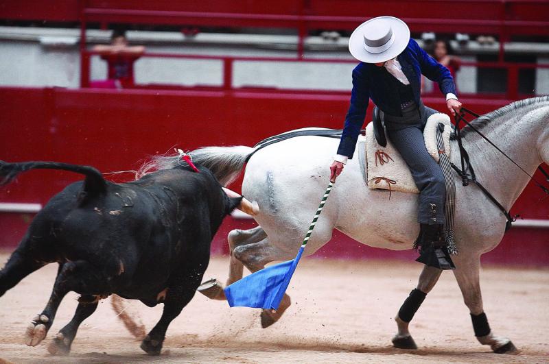 Marie Sara is a <i> rejoneadora </i>, or a bullfighter on horseback.  Plaza de toros, Aranda del Duero, Burgos, Spain. 