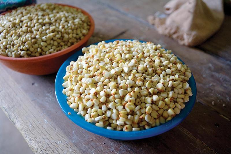 A bowl of soaked and rinsed corn, ready to be ground and pressed into tortillas.