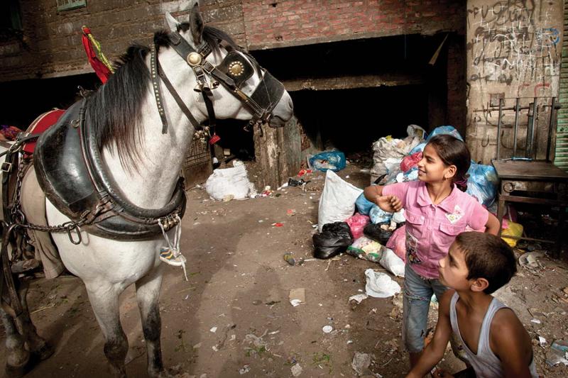 Children play with a horse in the garbage village.