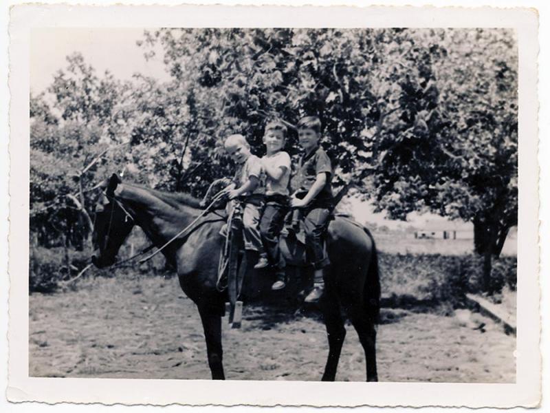 Tom, René, and José on horseback, Alta Habana. (Image courtesy of the author)