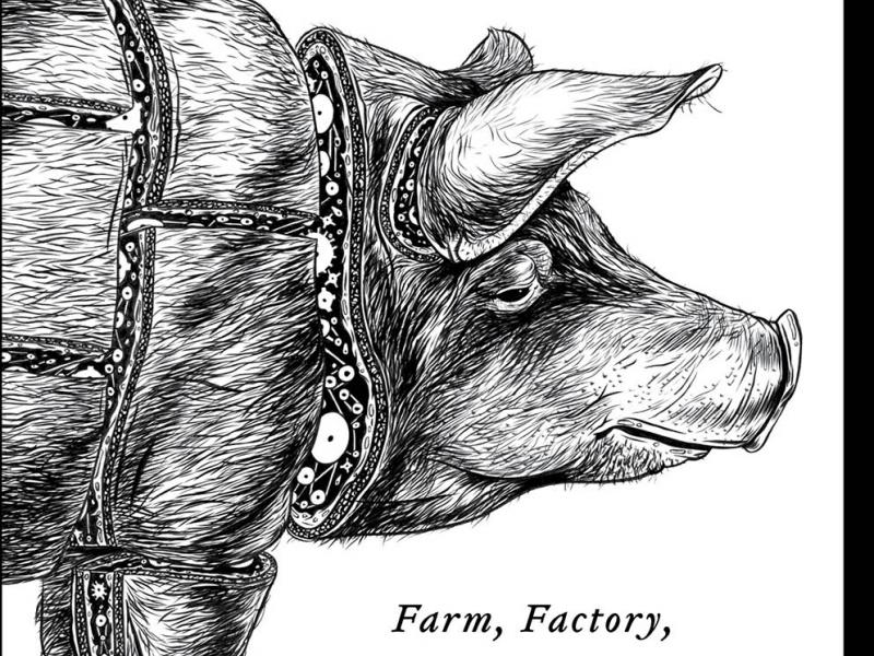 The Chain: Farm, Factory,  and the Fate of Our Food. By Ted Genoways.  HarperCollins, 2014.  320p. HB, $26.99.