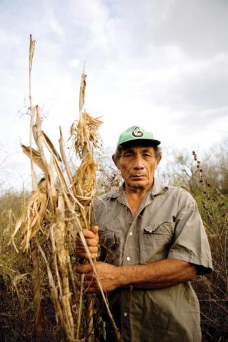 Eduardo Romero Martín grips a desiccated stalk in his cornfield in Pocoboch, Mexico.